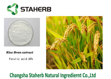 China Ferulic Acid Rice Husk Pure Herbal Extracts supplier
