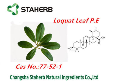 China Loquat Leaf Extract Ursolic Acid Powder Pure Natural Plant Extracts supplier