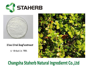 China Alpha Arbutin Natural Cosmetic Skin Care Ingredients Bearberry Extract supplier