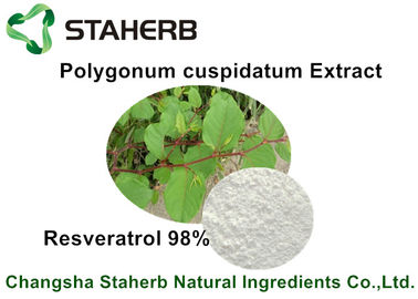 China Resveratrol 50% - 98% Raw Cosmetic Ingredients Polygonum Cuspidatum Extract supplier