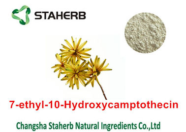 China Cas No 86639-52-3 Pure Natural Plant Extracts 7- Ethyl - 10- Hydroxycamptothecin Powder supplier