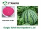 Watermelon Extract Dehydrated Fruit Powder Food Additive Improve Nutritional Value supplier